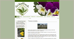 Desktop Screenshot of calseedling.com